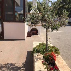 ταβερνα χανια